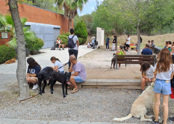 A Abrera cuidem els animals de companyia! Censem prop d'una vintena de mascotes en el barri de Can Vilalba d'Abrera
