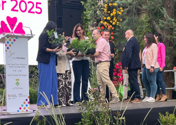 Abrera renova el seu reconeixement de 3 Flors d’Honor als Premis Viles Florides 2025