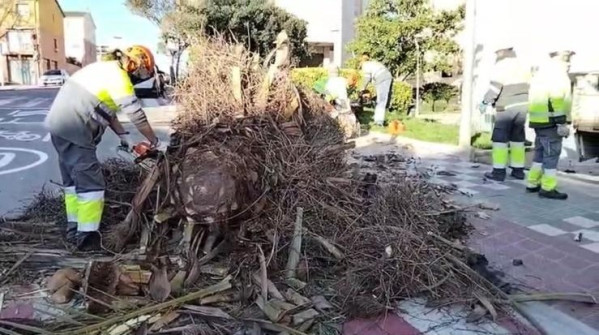 Des de l'Ajuntament d'Abrera estem duent a terme diverses actuacions pel fort vent a Abrera