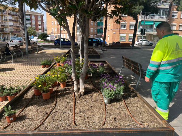 Finalitzem els treballs de reparació i millora dels jardins de la plaça de Rafael Casanova