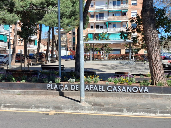 Finalitzem els treballs de reparació i millora dels jardins de la plaça de Rafael Casanova