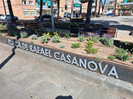 Finalitzem els treballs de reparació i millora dels jardins de la plaça de Rafael Casanova