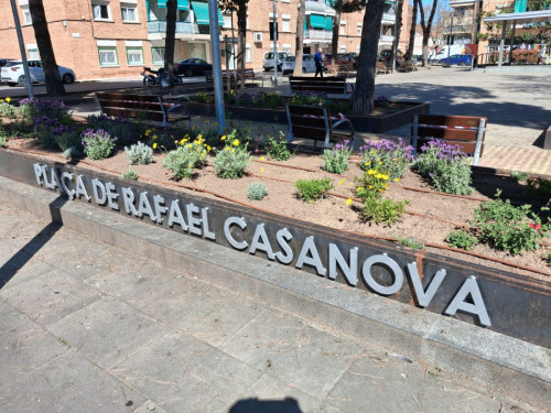 Finalitzem els treballs de reparació i millora dels jardins de la plaça de Rafael Casanova