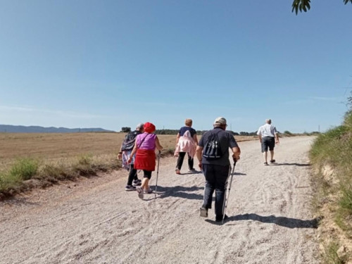 El proper dimecres 8 d'abril es commemora el Dia Mundial de l’Activitat Física amb una caminada saludable
