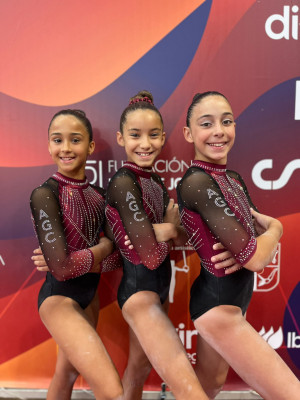 Felicitem l’Abrera Gimnàstic Club pels seus excelents resultats al Campionat d’Espanya Absolut de Gimnàstica Artística Femenina. Enhorabona campiones!