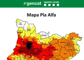 Mapa Pla Alfa davant l'elevat risc d'incendi - 07.09.26