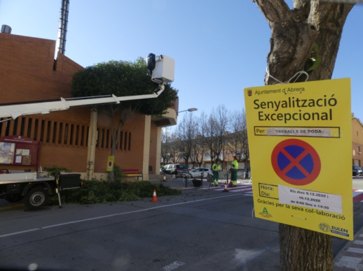 Mantenim l'espai públic net i segur amb la realització dels treballs de poda i cura dels arbres públics