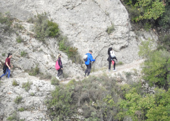 Més de 300 persones participen en la 21a edició de la Caminada de Primavera Abrera-Montserrat. Moltes gràcies a tothom!