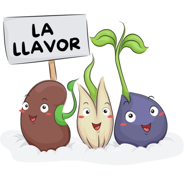 Espai 'La Llavor'