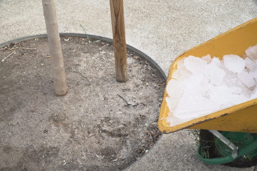 Aquest Nadal, hem tornat a gaudir de la Pista de Gel, més sostenible, amb la instal·lació de plaques fotovoltaiques, reutilització de l'aigua per regar i replantació d'arbres per reduir les emissions de CO2