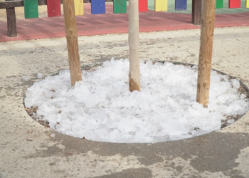 Aquest Nadal, hem tornat a gaudir de la Pista de Gel, més sostenible, amb la instal·lació de plaques fotovoltaiques, reutilització de l'aigua per regar i replantació d'arbres per reduir les emissions de CO2