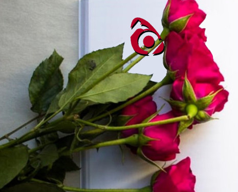 Sant Jordi 2021 Ràdio Abrera