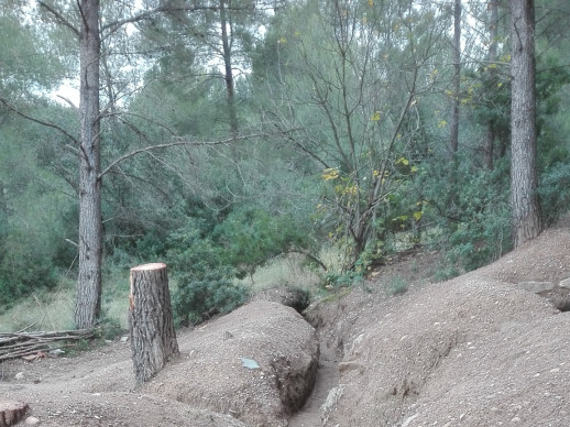 Trinxeres Guerra Civil Sant Miquel