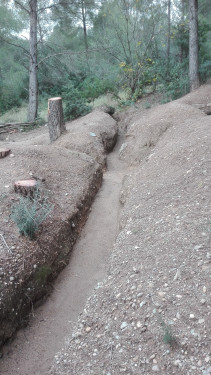 Trinxeres Guerra Civil Sant Miquel