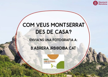 Gaudeix de les activitats a la Biblioteca Josep Roca i Bros des de casa!