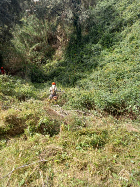 Iniciem un any més la campanya anual de manteniment de les franges perimetrals de seguretat contra incendis forestals